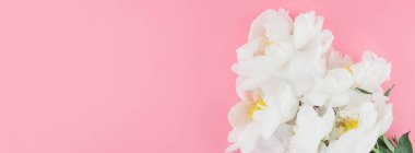 Kopya alanı en az tarzı, kartpostal, yazı, metin tasarım şablonu ile pastel bin yıllık pembe renkli kağıt arka plan beyaz şakayık çiçekleri çiçek açmış. Uzun geniş afiş blog ya da sosyal medya için