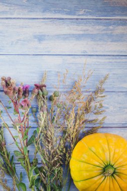 Sonbahar turuncu kabak görünümünü üst ve Kuru çiçekler ve çimen şükran günü arka plan kopya alanı ile mavi tonda ahşap masa üzerinde. Sonbaharda hasat ruh metin için şablon