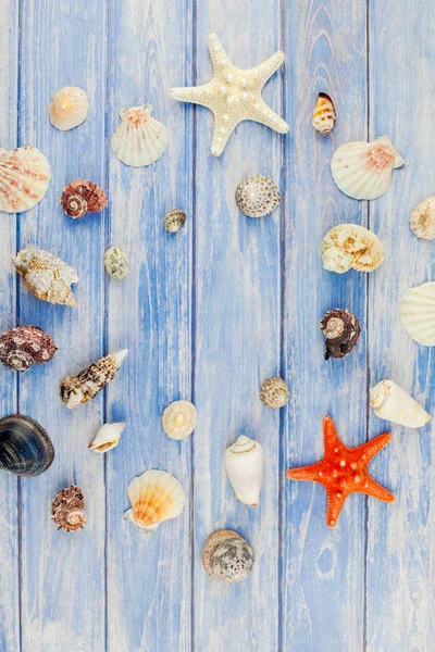 Yaratıcı düz yaz seyahat tatil kavramı yatıyordu. Kopya alanı rustik tarzı, çerçeve şablonu metin için pastel mavi ahşap plakalar zemin üzerine deniz kabuklarını ve denizyıldızı üstten görünüm