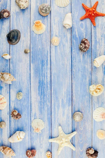 Yaratıcı düz yaz seyahat tatil kavramı yatıyordu. Kopya alanı rustik tarzı, çerçeve şablonu metin için pastel mavi ahşap plakalar zemin üzerine deniz kabuklarını ve denizyıldızı üstten görünüm