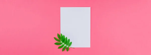 Creative Flat Lay Top View White Letter Mock Fresh Green — Fotografia de Stock