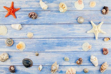 Yaratıcı düz yaz seyahat tatil kavramı yatıyordu. Kopya alanı rustik tarzı, çerçeve şablonu metin için pastel mavi ahşap plakalar zemin üzerine deniz kabuklarını ve denizyıldızı üstten görünüm