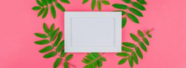 Yaratıcı düz beyaz çerçeve taze yeşil rowan ağacı ile alay etmek yukarıya parlak pembe arka plan kopya alanı en az çift ton pop sanat tarzı, metin için şablon ile yaprak üstten görünüm yatıyordu. Uzun geniş afiş