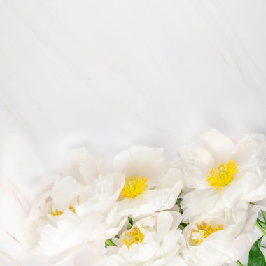 Güzel çiçek beyaz şakayık çiçekleri mermer zemin üzerine alan en az tarzı, kartpostal, metin veya tasarımınızı kare şablon kopyalayın. Düğün davetiyesi ve kutlama tebrik kavramı