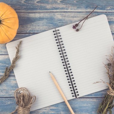 Üstten görünüm sonbahar turuncu kabak ve kuru çiçek çimen şükran günü arka plan ile defter sahte ile mavi tonda ahşap masa üzerinde kare ve rustik tarzı, metin için şablon alanı Kopyala