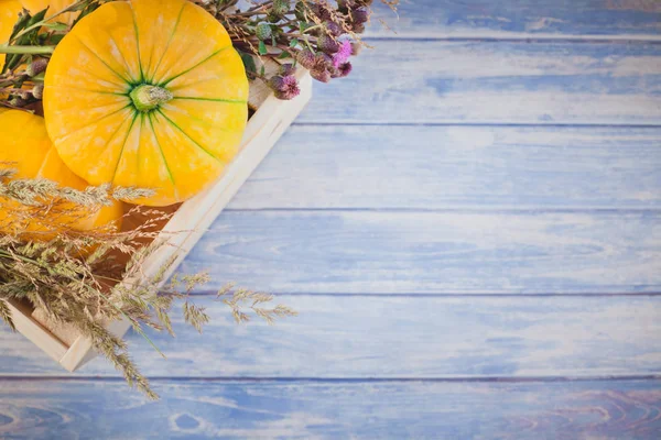 Horní Pohled Podzim Oranžové Dýně Suchých Květin Trávy Pozadí Díkůvzdání — Stock fotografie