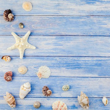 Kare yaratıcı düz yaz seyahat tatil kavramı yatıyordu. Kopya alanı rustik tarzı, çerçeve şablonu metin için pastel mavi ahşap plakalar zemin üzerine deniz kabuklarını ve denizyıldızı üstten görünüm