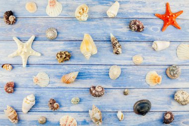 Yaratıcı düz yaz seyahat tatil kavramı yatıyordu. Kopya alanı rustik tarzı, çerçeve şablonu metin için pastel mavi ahşap plakalar zemin üzerine deniz kabuklarını ve denizyıldızı üstten görünüm