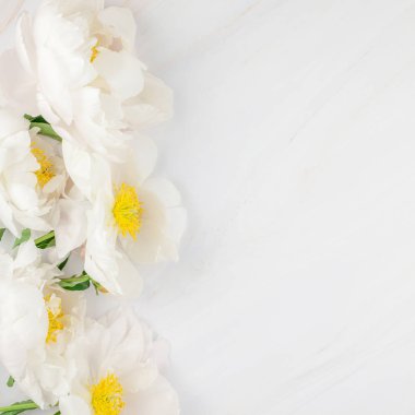 Güzel çiçek beyaz şakayık çiçekleri mermer zemin üzerine alan en az tarzı, kartpostal, metin veya tasarımınızı kare şablon kopyalayın. Düğün davetiyesi ve kutlama tebrik kavramı