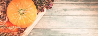 Sonbahar turuncu kabak ve Kuru çiçekler görünümünü ana sayfa ve kopya alanı ile mavi tonda ahşap masa üzerinde kutusu Şükran günü arka planda çim. Sonbaharda hasat ruh metin şablonu. Uzun geniş afiş