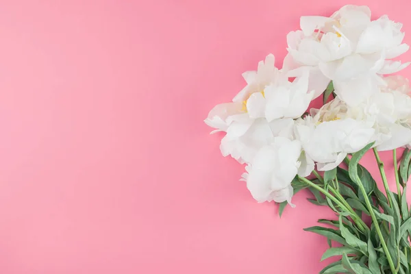 Flores Peônia Branca Florescendo Fundo Papel Cor Pastel Com Espaço — Fotografia de Stock