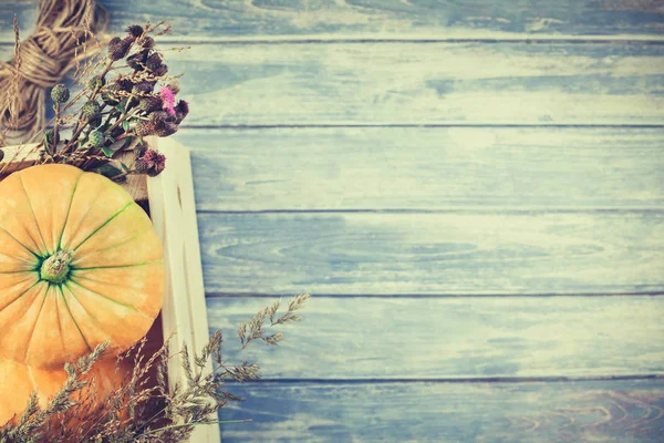 Top Uitzicht Herfst Oranje Pompoenen Droge Bloemen Gras Vak Thanksgiving — Stockfoto