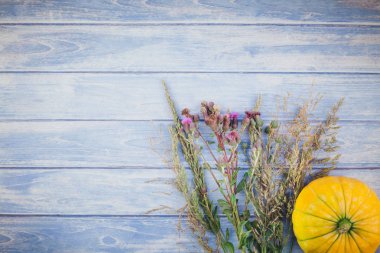 Sonbahar turuncu kabak görünümünü üst ve Kuru çiçekler ve çimen şükran günü arka plan kopya alanı ile mavi tonda ahşap masa üzerinde. Sonbaharda hasat ruh metin için şablon