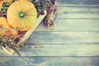 Sonbahar turuncu kabak ve Kuru çiçekler görünümünü ana sayfa ve kopya alanı ile mavi tonda ahşap masa üzerinde kutusu Şükran günü arka planda çim. Sonbaharda hasat ruh metin için şablon