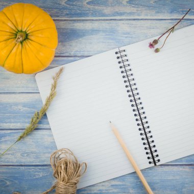 Üstten görünüm sonbahar turuncu kabak ve kuru çiçek çimen şükran günü arka plan ile defter sahte ile mavi tonda ahşap masa üzerinde kare ve rustik tarzı, metin için şablon alanı Kopyala