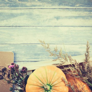 Üstten görünüm sonbahar turuncu kabak, kare ve Kuru çiçekler ve çim kutusu Şükran günü arka planda kopya alanı ile mavi tonda ahşap masa üzerinde. Sonbaharda hasat ruh metin için şablon