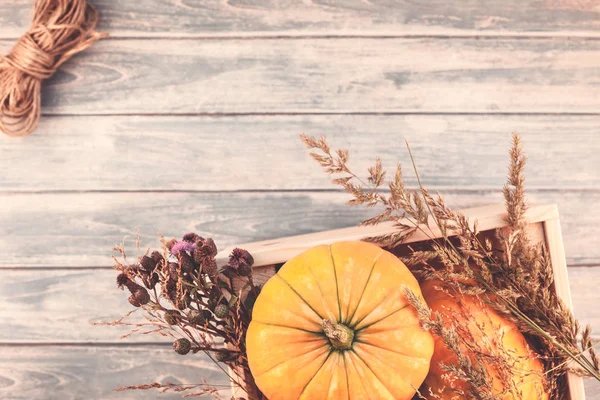 Top Uitzicht Herfst Oranje Pompoenen Droge Bloemen Gras Vak Thanksgiving — Stockfoto