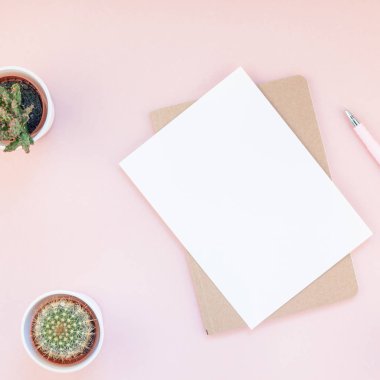 En iyi görünüm düz yatıyordu çalışma alanı Resepsiyon ofis malzemeleri kaktüsler succulents kopya alanı bin yıllık pembe renkli kağıt arka plan en az tarzı ile tasarım tarz. Kadınsı blog sosyal medya için kare şablon