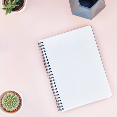 En iyi görünüm düz yatıyordu çalışma alanı Resepsiyon ofis malzemeleri kaktüsler succulents kopya alanı bin yıllık pembe renkli kağıt arka plan en az tarzı ile tasarım tarz. Kadınsı blog sosyal medya için kare şablon
