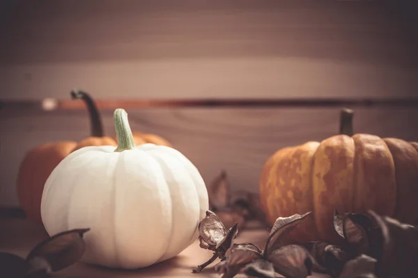 Herfst Oranje Witte Pompoenen Thanksgiving Halloween Achtergrond Houten Doos Met — Stockfoto