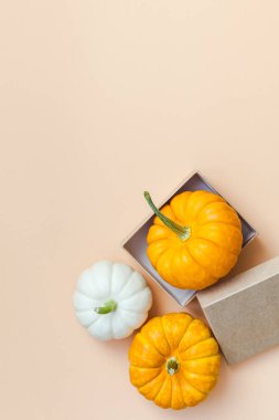 Yaratıcı en iyi görünüm düz sonbahar kompozisyon yatıyordu. Kare kavramı kabak Kağıt arka plan kopya alanı renk. Şablon sonbaharda hasat Şükran günü Cadılar Bayramı yıldönümü davetiye