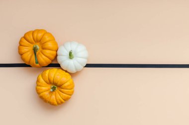 Yaratıcı en iyi görünüm düz sonbahar kompozisyon yatıyordu. Kare kavramı kabak Kağıt arka plan kopya alanı renk. Şablon sonbaharda hasat Şükran günü Cadılar Bayramı yıldönümü davetiye