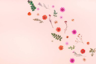 Yaratıcı en iyi görünüm düz sonbahar kompozisyon yatıyordu. Kurutulmuş çiçekler ve yapraklar renk Kağıt arka plan kopya alanı ile çerçeve yaptı. Yıldönümü davetiye düğün sonbaharda hasat için şablon