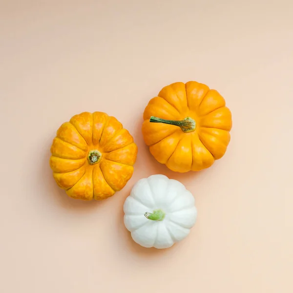 Creative Top View Flat Lay Composition Automne Concept Cadre Citrouilles — Photo