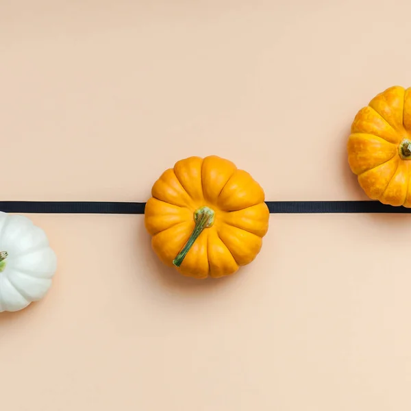 Creative Top View Flat Lay Autumn Composition Frame Concept Pumpkins — Stock Photo, Image