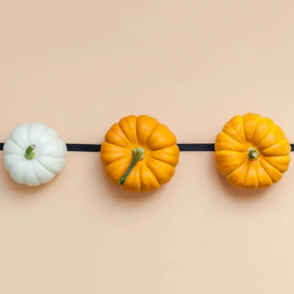 Creative Top View Flat Lay Autumn Composition Frame Concept Pumpkins — Stock Photo, Image