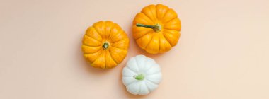 Yaratıcı en iyi görünüm düz sonbahar kompozisyon yatıyordu. Kare kavramı kabak Kağıt arka plan kopya alanı renk. Şablon sonbaharda hasat Şükran günü Cadılar Bayramı yıldönümü davetiye. Uzun geniş afiş