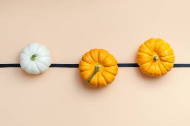 Yaratıcı en iyi görünüm düz sonbahar kompozisyon yatıyordu. Kare kavramı kabak Kağıt arka plan kopya alanı renk. Şablon sonbaharda hasat Şükran günü Cadılar Bayramı yıldönümü davetiye