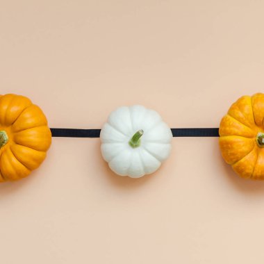 Yaratıcı en iyi görünüm düz sonbahar kompozisyon yatıyordu. Kare kavramı kabak Kağıt arka plan kopya alanı renk. Şablon sonbaharda hasat Şükran günü Cadılar Bayramı yıldönümü davetiye kare