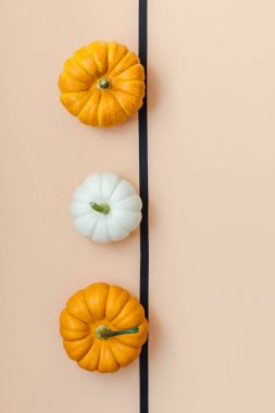 Yaratıcı en iyi görünüm düz sonbahar kompozisyon yatıyordu. Kare kavramı kabak Kağıt arka plan kopya alanı renk. Şablon sonbaharda hasat Şükran günü Cadılar Bayramı yıldönümü davetiye