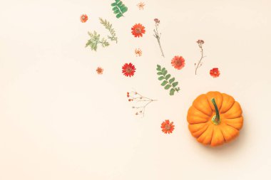 Yaratıcı en iyi görünüm düz sonbahar kompozisyon yatıyordu. Çerçeve kabakları kurutulmuş çiçek yaprakları renk Kağıt arka plan kopya alanı yaptı. Şablon sonbaharda hasat Şükran günü Cadılar Bayramı yıldönümü davetiye