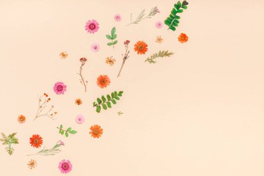 Yaratıcı en iyi görünüm düz sonbahar kompozisyon yatıyordu. Kurutulmuş çiçekler ve yapraklar renk Kağıt arka plan kopya alanı ile çerçeve yaptı. Yıldönümü davetiye düğün sonbaharda hasat için şablon