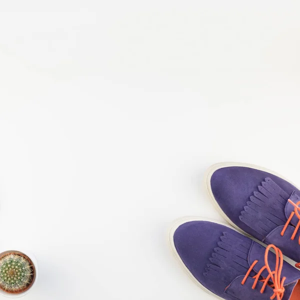 Kare Düz Moda Süet Ayakkabı Kaktüs Beyaz Arka Plan Üzerinde — Stok fotoğraf