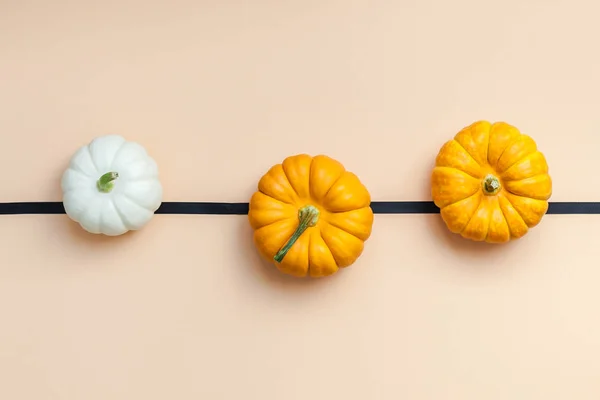 Creative Top View Flat Lay Autumn Composition Frame Concept Pumpkins — Stock Photo, Image