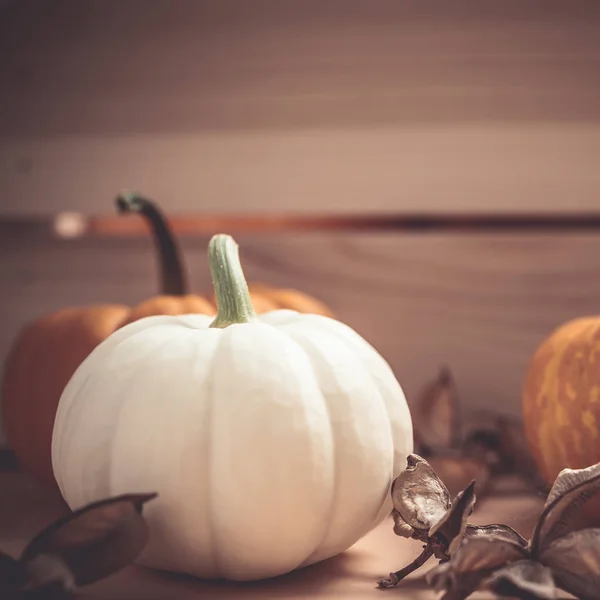 Herfst Oranje Witte Pompoenen Thanksgiving Halloween Achtergrond Houten Doos Met — Stockfoto