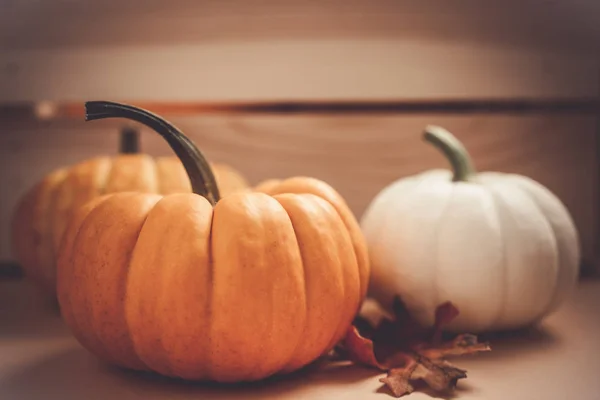 Herfst Oranje Witte Pompoenen Thanksgiving Halloween Achtergrond Houten Doos Met — Stockfoto