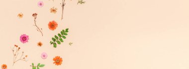 Yaratıcı en iyi görünüm düz sonbahar kompozisyon yatıyordu. Kuru çiçekler ve yapraklar renk Kağıt arka plan kopya alanı ile. Sonbaharda hasat düğün yıldönümü davetiye için şablon uzun geniş afiş