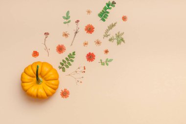 Yaratıcı en iyi görünüm düz sonbahar kompozisyon yatıyordu. Çerçeve kabakları kurutulmuş çiçek yaprakları renk Kağıt arka plan kopya alanı yaptı. Şablon sonbaharda hasat Şükran günü Cadılar Bayramı yıldönümü davetiye