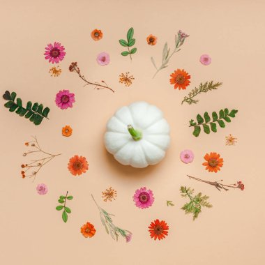 Yaratıcı en iyi görünüm düz sonbahar kompozisyon yatıyordu. Kabak çiçekleri yaprakları renk Kağıt arka plan kopya alanı kurumuş. Kare şablon sonbaharda hasat Şükran günü Cadılar Bayramı yıldönümü davetiye