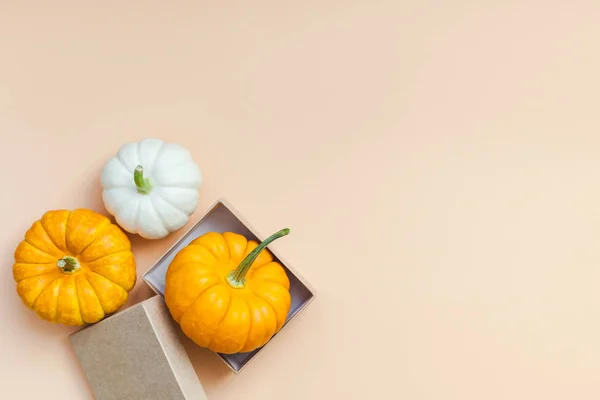 Creative Top View Flat Lay Autumn Composition Frame Concept Pumpkins — Stock Photo, Image