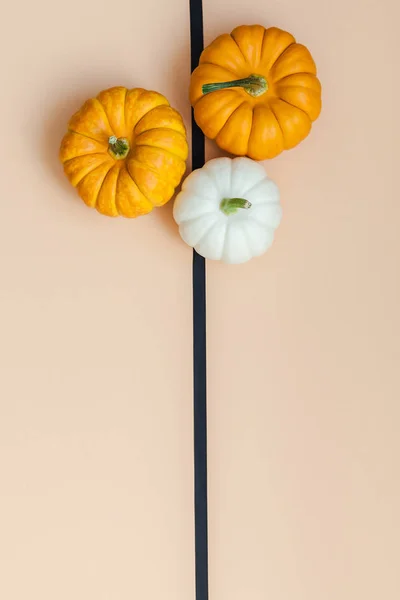 Creative Top View Flat Lay Autumn Composition Frame Concept Pumpkins — Stock Photo, Image