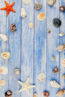 Yaratıcı düz yaz seyahat tatil kavramı yatıyordu. Kopya alanı rustik tarzı, çerçeve şablonu metin için pastel mavi ahşap plakalar zemin üzerine deniz kabuklarını ve denizyıldızı üstten görünüm