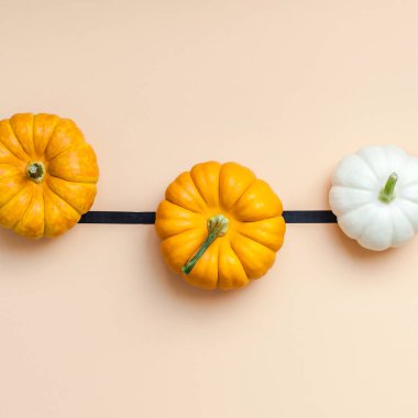 Yaratıcı en iyi görünüm düz sonbahar kompozisyon yatıyordu. Kare kavramı kabak Kağıt arka plan kopya alanı renk. Şablon sonbaharda hasat Şükran günü Cadılar Bayramı yıldönümü davetiye kare