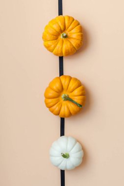 Yaratıcı en iyi görünüm düz sonbahar kompozisyon yatıyordu. Kare kavramı kabak Kağıt arka plan kopya alanı renk. Şablon sonbaharda hasat Şükran günü Cadılar Bayramı yıldönümü davetiye