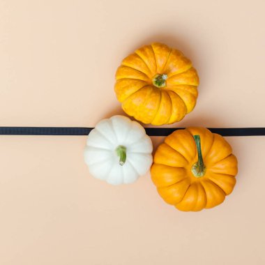 Yaratıcı en iyi görünüm düz sonbahar kompozisyon yatıyordu. Kare kavramı kabak Kağıt arka plan kopya alanı renk. Şablon sonbaharda hasat Şükran günü Cadılar Bayramı yıldönümü davetiye kare