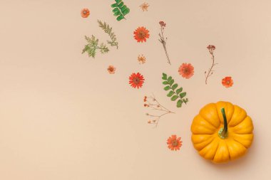 Yaratıcı en iyi görünüm düz sonbahar kompozisyon yatıyordu. Çerçeve kabakları kurutulmuş çiçek yaprakları renk Kağıt arka plan kopya alanı yaptı. Şablon sonbaharda hasat Şükran günü Cadılar Bayramı yıldönümü davetiye